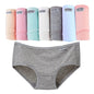 7Pcs/Lot Plus Size Solid Underwear M-4XL
